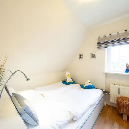 Syltstern Haus Hasenkuhle Daire